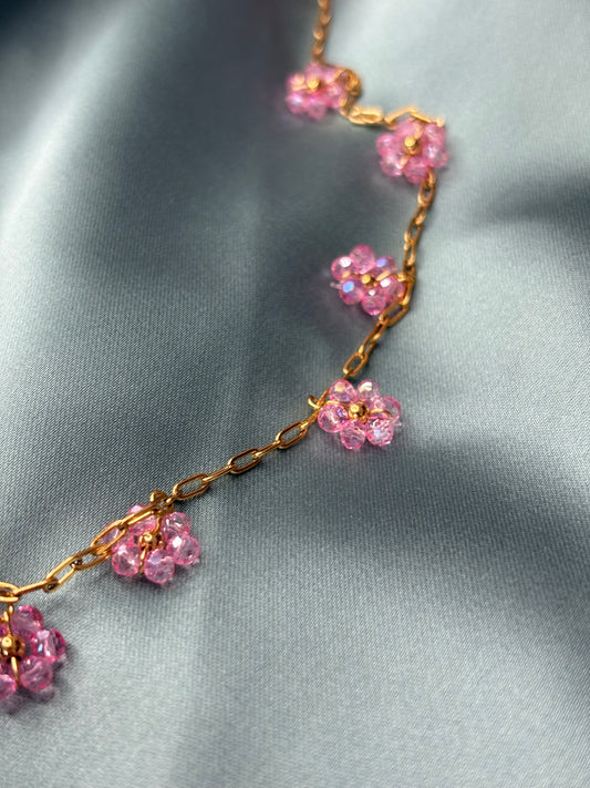 Margherite rosa