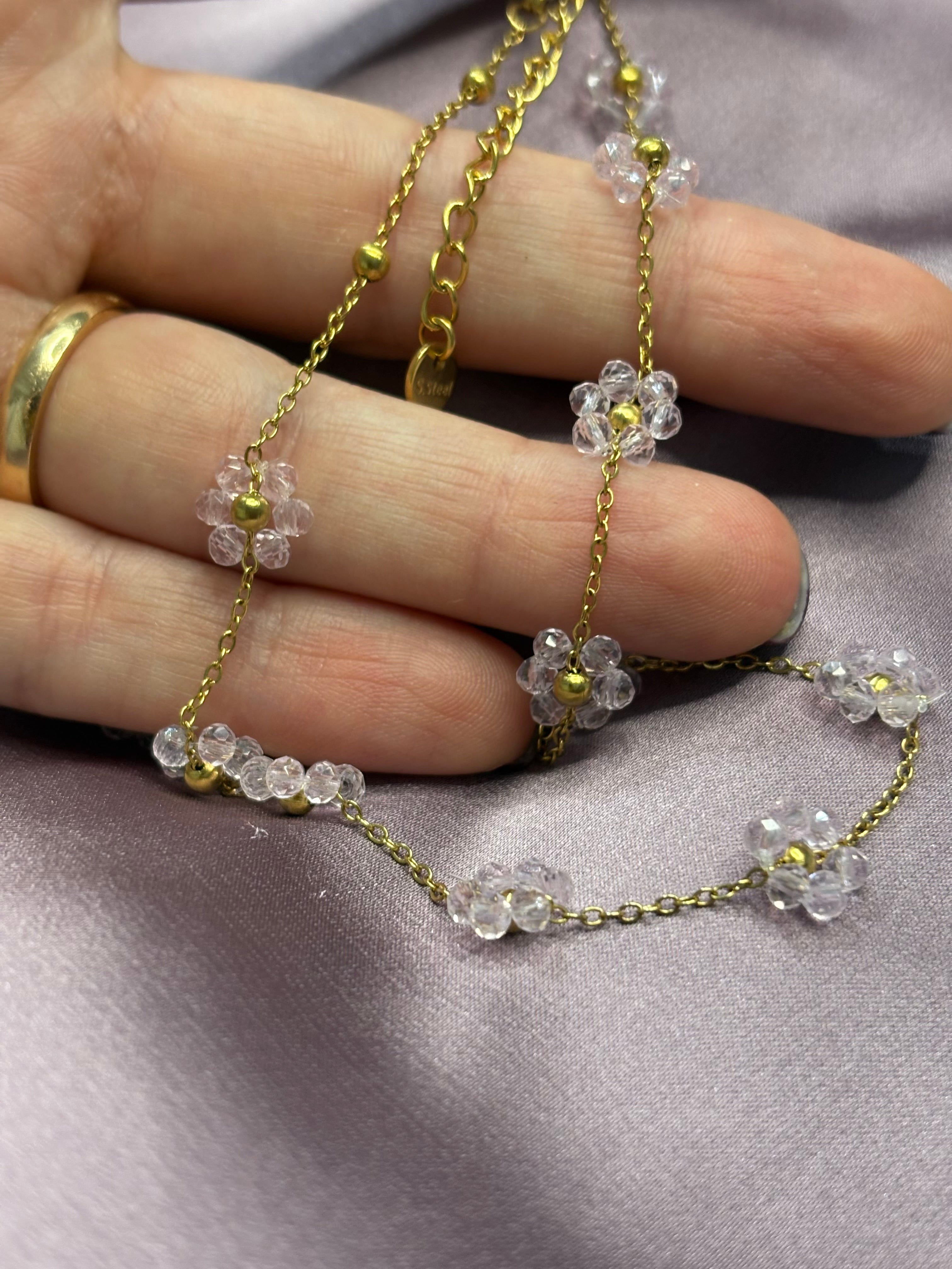 Margherite rosa trasparente