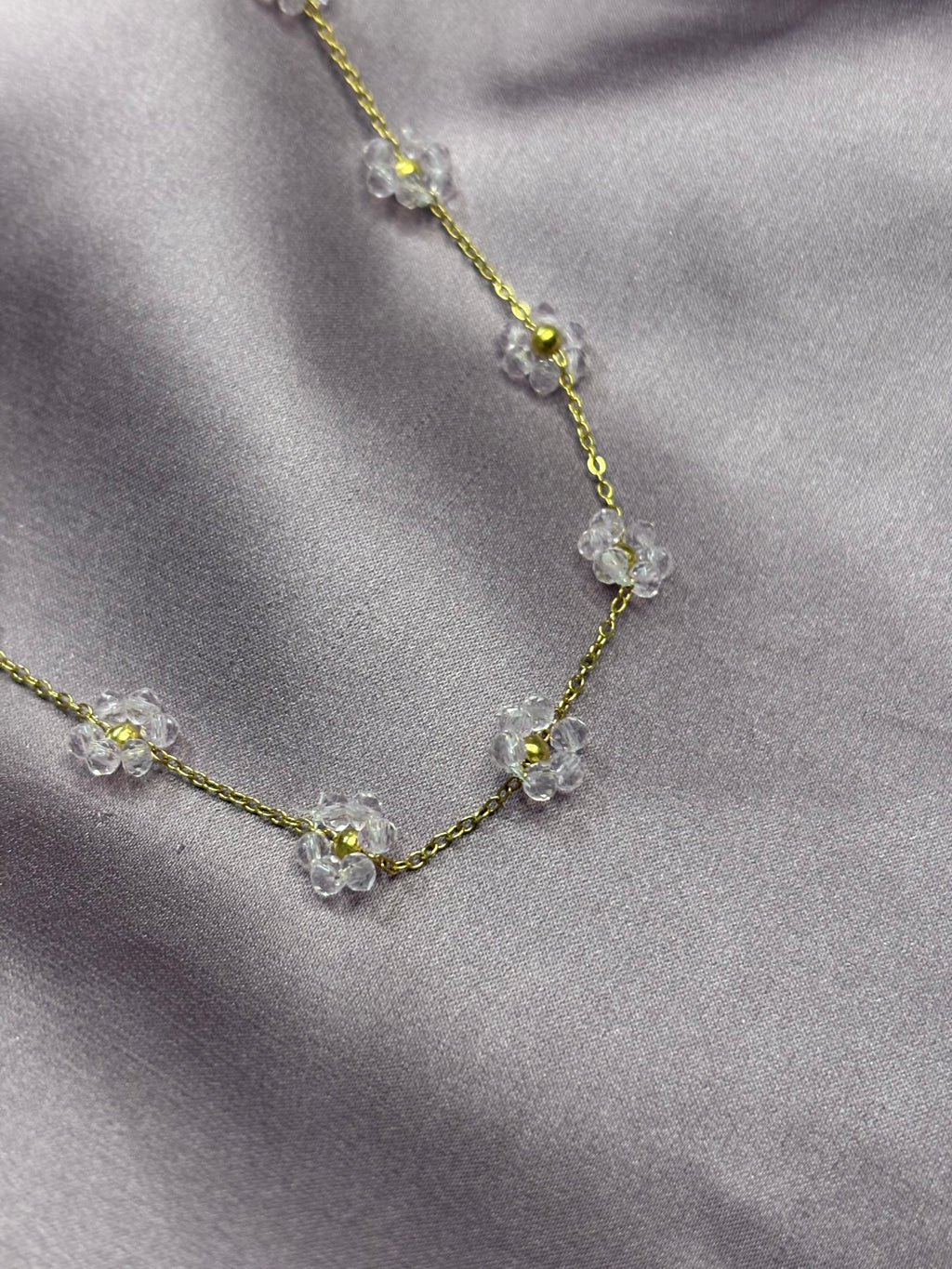 Margherite rosa trasparente